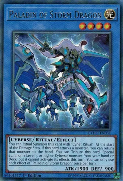Paladin of Storm Dragon - 1st Edition