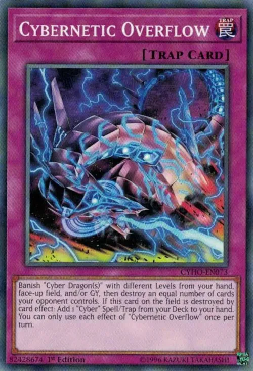 Cybernetic Overflow - 1st Edition