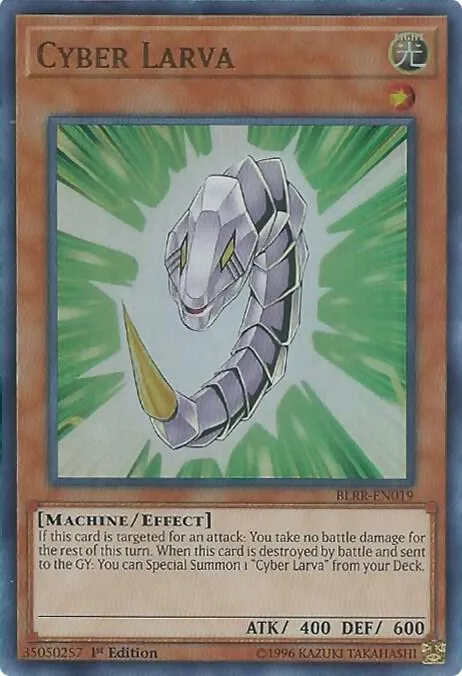 Cyber Larva