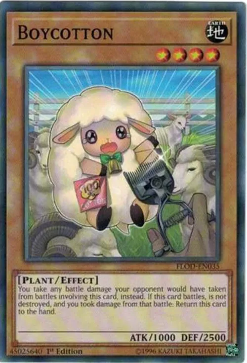 Boycotton - 1st Edition