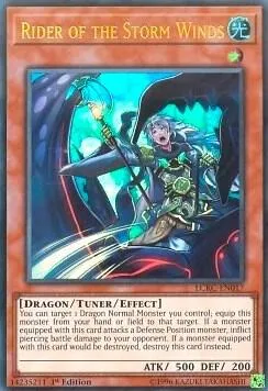 Rider of the Storm Winds - 1st Edition