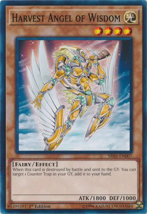 Harvest Angel of Wisdom