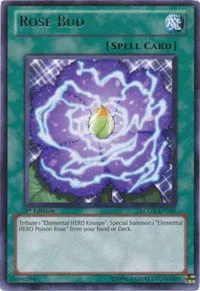Rose Bud - Unlimited