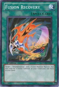 Fusion Recovery - 1st Edition