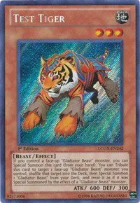 Test Tiger - 1st Edition