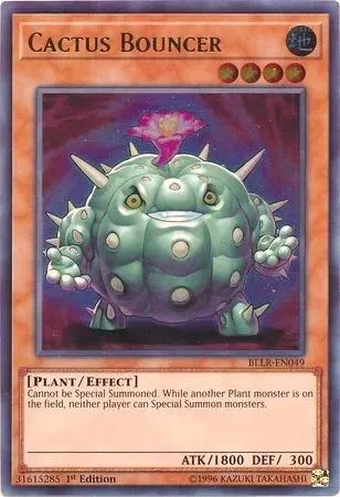 Cactus Bouncer