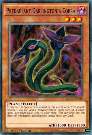 Predaplant Darlingtonia Cobra - Unlimited