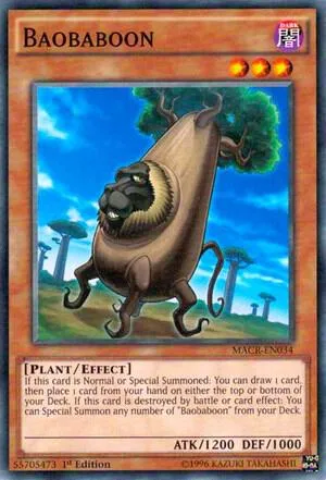 Baobaboon - 1st Edition