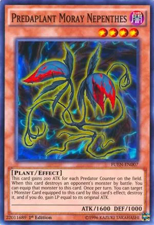 Predaplant Moray Nepenthes - Unlimited