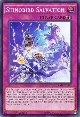 Shinobird Salvation - Unlimited