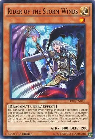 Rider of the Storm Winds - 1st Edition