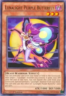 Lunalight Purple Butterfly - Unlimited