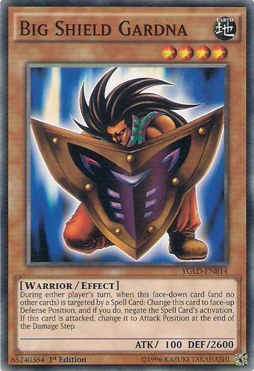 Big Shield Gardna - Unlimited
