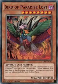 Bird of Paradise Lost - 1st Edition