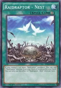 Raidraptor - Nest - 1st Edition