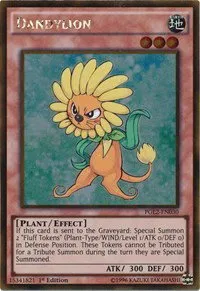 Dandylion - 1st Edition
