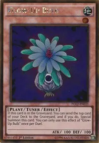 Glow-Up Bulb - Unlimited