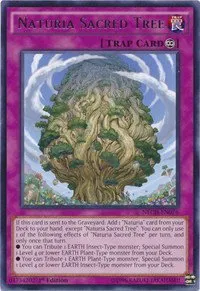 Naturia Sacred Tree - 1st Edition