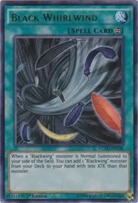 Black Whirlwind