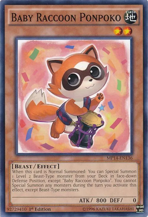 Baby Raccoon Ponpoko