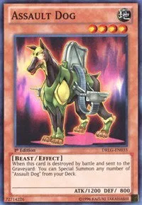 Assault Dog - Unlimited