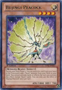 Bujingi Peacock - Unlimited