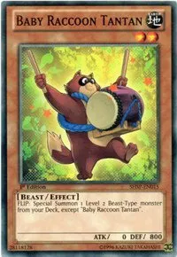 Baby Raccoon Tantan - 1st Edition