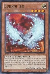 Bujingi Ibis - 1st Edition