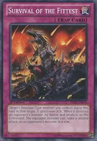 Survival of the Fittest - 1st Edition