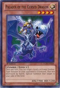 Paladin of the Cursed Dragon