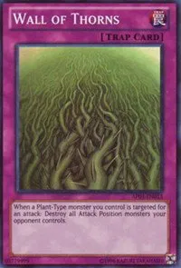 Wall of Thorns