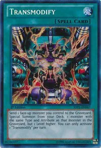 Transmodify - Unlimited