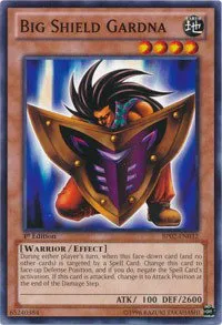 Big Shield Gardna - Unlimited