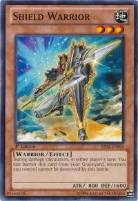 Shield Warrior - 1st Edition