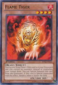 Flame Tiger - 1st Edition