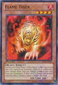 Flame Tiger - Mosaic Rare First Edition