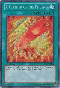 A Feather of the Phoenix - 1st Edition
