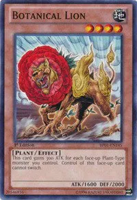 Botanical Lion - 1st Edition