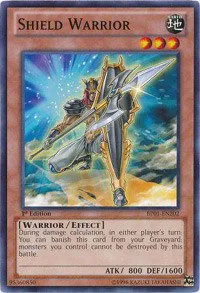Shield Warrior - 1st Edition