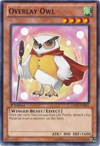 Overlay Owl - 1st Edition