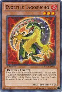 Evoltile Lagosucho - 1st Edition