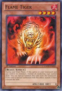 Flame Tiger - 1st Edition