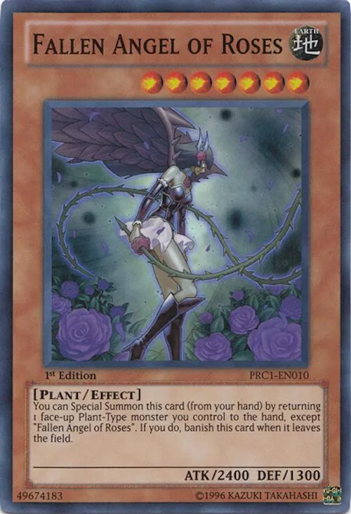Fallen Angel of Roses