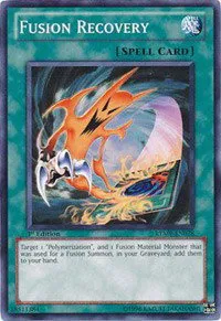 Fusion Recovery - 1st Edition