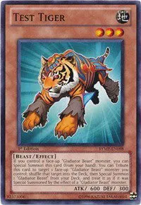 Test Tiger - 1st Edition