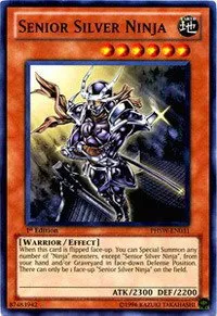 Senior Silver Ninja - 1st Edition