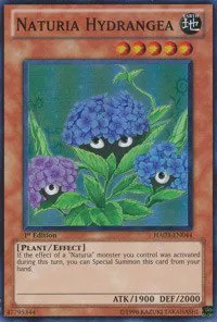 Naturia Hydrangea - Unlimited