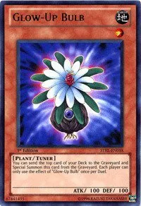 Glow-Up Bulb - 1st Edition