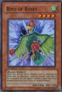 Bird of Roses - 1st Edition