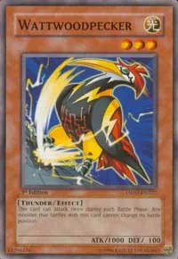 Wattwoodpecker - 1st Edition
